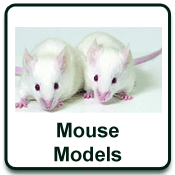 mousemodels